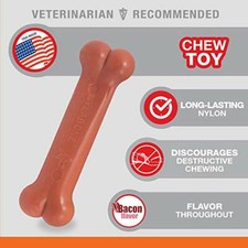 Nylabone power chew ossa - nylabone,