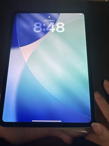 Ipad pro 256gb - pro, m4