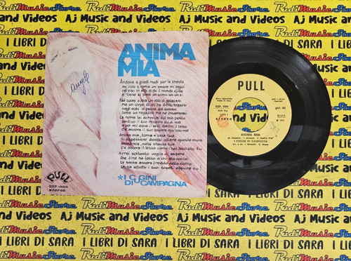I cugini di campagna - lp*45,