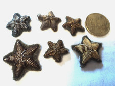 esercito italiano regio