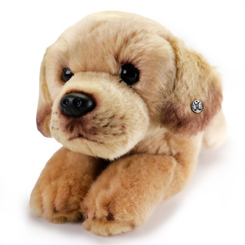 Labrador retriever peluche - labrador,