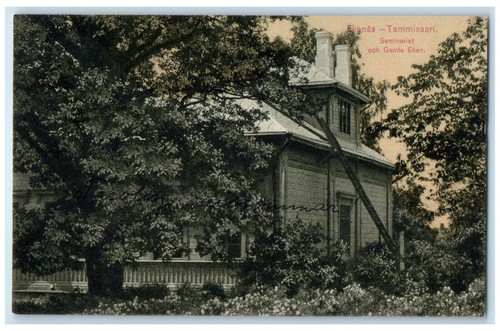 1919 seminario la - 1919, il