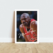 MICHAEL JORDAN CHICAGO BULLS