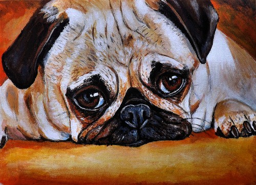 Ritratto personalizzato cane - ritratto,