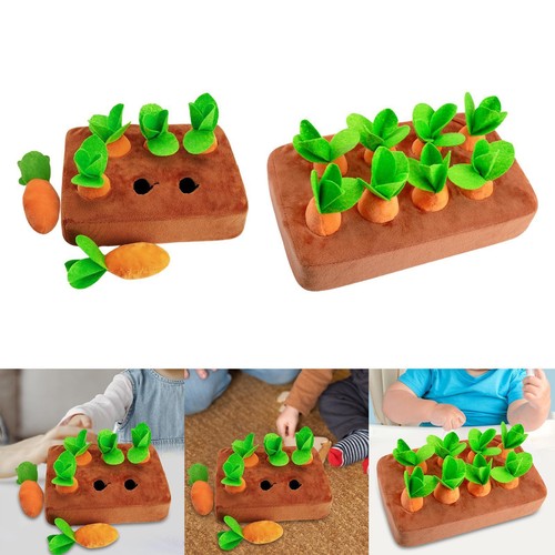 Giocattolo carota di - giocattolo,