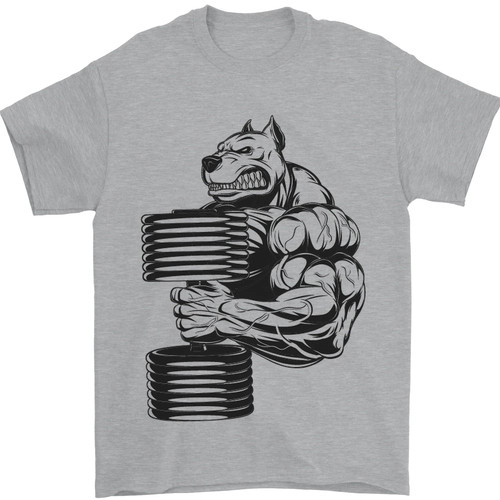Bulldog palestra allenamento - palestra,
