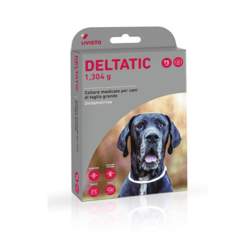 Livisto deltatic 2 - 75, cm