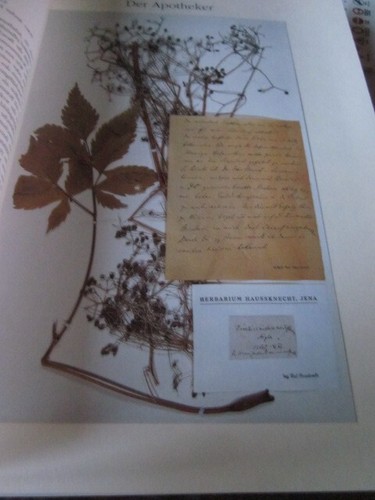 Das herbarium hausknecht 2145 - hausknecht,