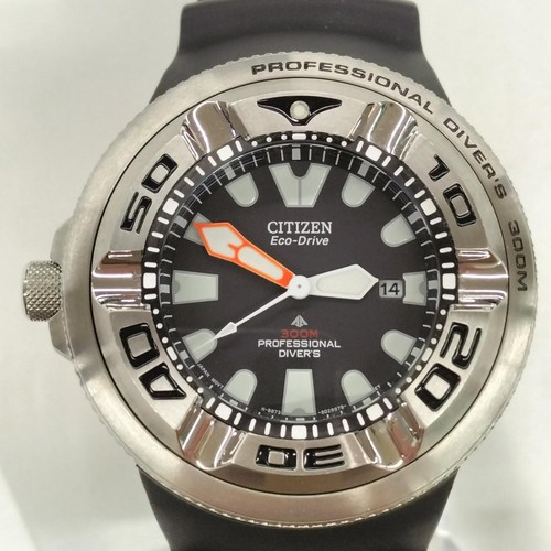 Promaster professional divers - promaster,