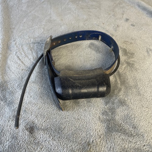 Garmin dc40 collare - garmin, di