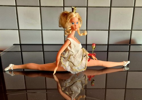 Barbie ballerina étoile - barbie,