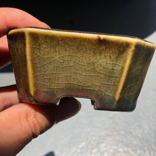 Vaso per bonsai giapponese