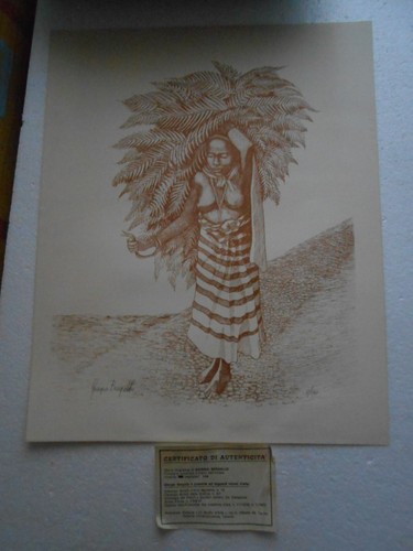 Giorgio bergallo litografia - ,