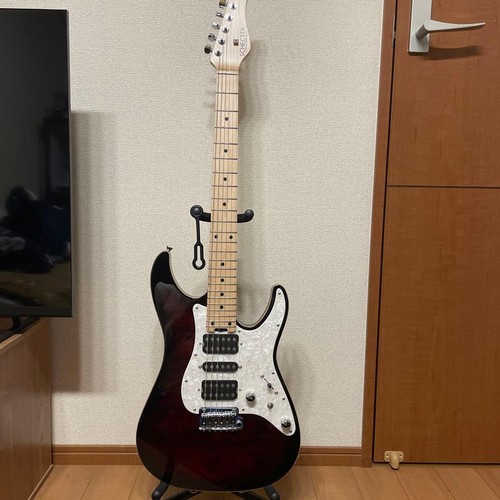 Chitarra elettrica tipo