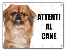 Cartello attenti cane - attenti,
