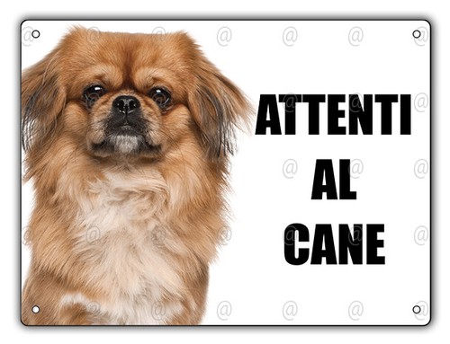 Cartello attenti cane - cartello,