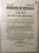 6 Manifesto Vetralla Viterbo 1873 Asta taglio bosco castagno a Pian della Botte