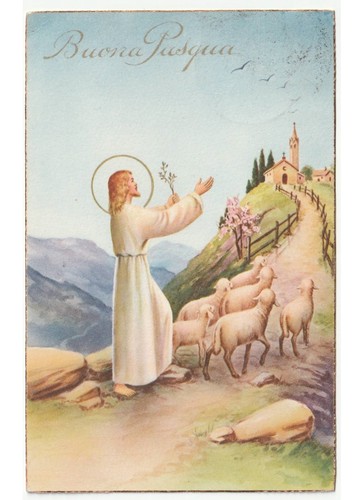 1951 gesù ulivo - 1951, pecore