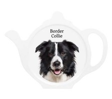 Regalo Border Collie - porta