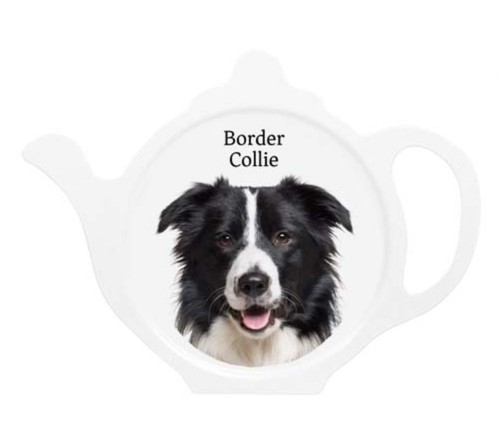 Regalo border collie - border,