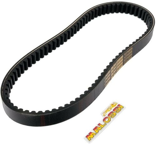 Drive belt malossi - belt,