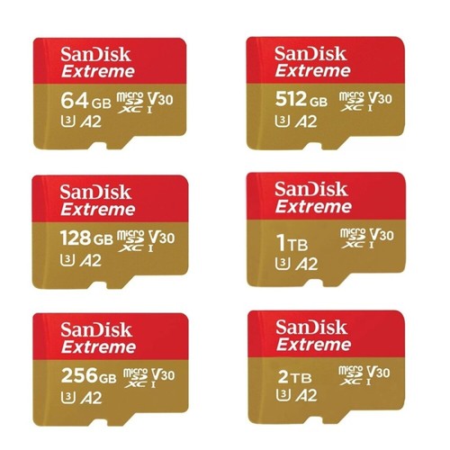 Scheda memoria 256 gb - scheda, di