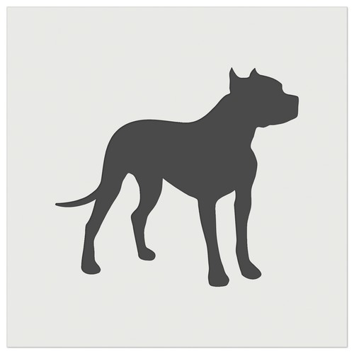 American pit bull terrier - pit,