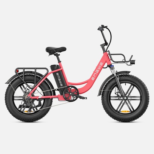 Fat bike l20 - l20, 20