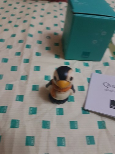 Bellissimo pinguino della