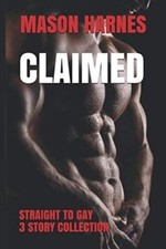 Gay Erotic Short Stories -