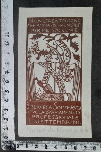Wunderkammer exlibris 618 - b,