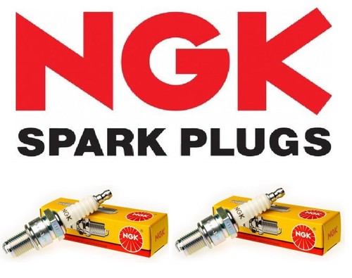 Ngk dcpr7e due candele - ngk,