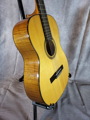 Chitarra classica concerto - chitarra, da