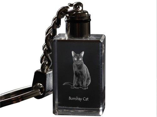 Bombay katze orologio - bombay-katze, con