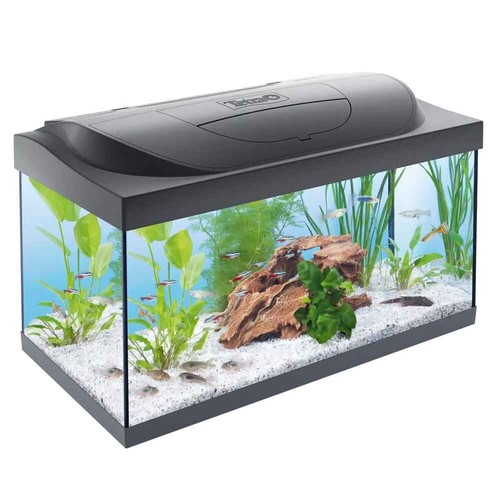 Tetra acquario starter line - tetra,
