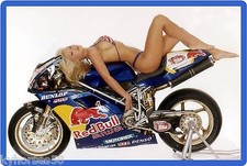 Calamita frigorifero Red Bull