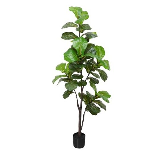 Ficus lyrata artificiale - , 6