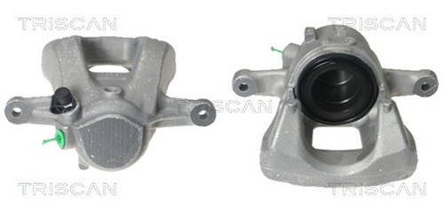 Pinza freno triscan 8170 - pinza,