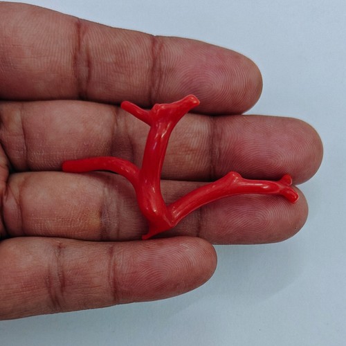 Ramo corallo rosso naturale - corallo,