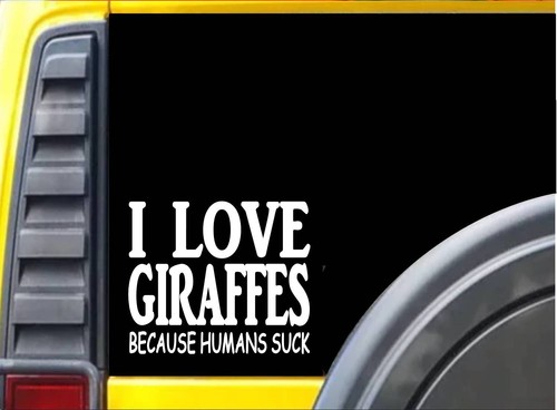 Adesivo giraffe perché gli