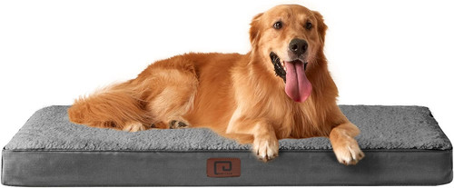 Cuccia cane interno - cuccia,