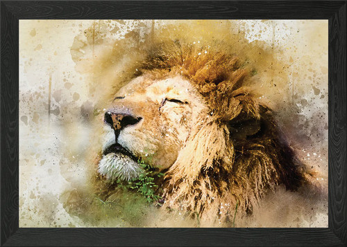 Quadro stampa tela - tela, poster