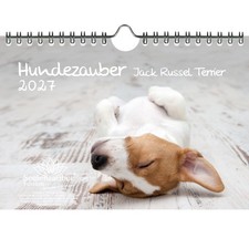 Magia per Cani Jack Russel