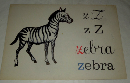 Tavola zebra 23 00 x - tavola, 23,00