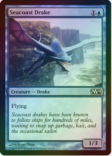 Seacoast drake foil - -,