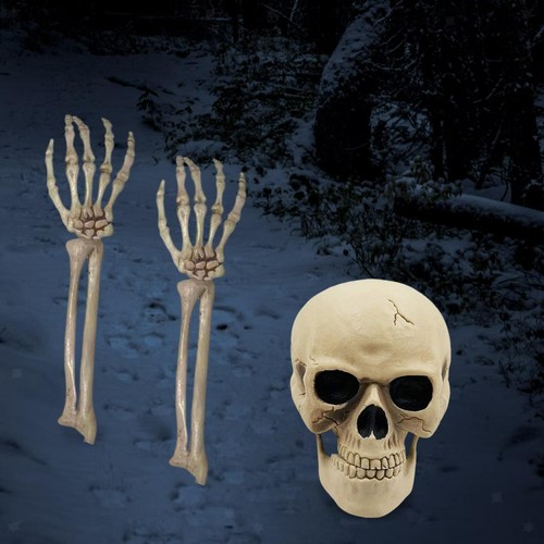 Cranio della testa - , di