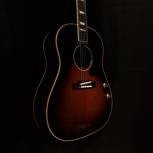 Chitarra elettrica acustica