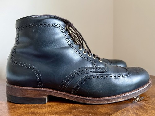 Stivali alden wingtip - stivali, navy