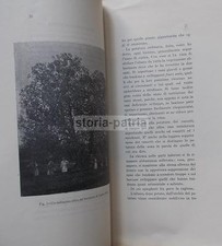 AGRARIA_OLIVES_FERTILIZATION_P