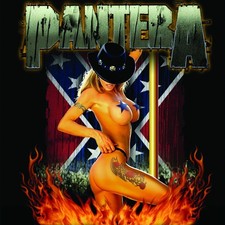 PANTERA ragazza del sud BANNER